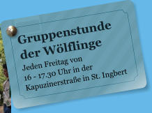 Gruppenstunde der Wlflinge Jeden Freitag von  16 - 17.30 Uhr in der Kapuzinerstrae in St. Ingbert